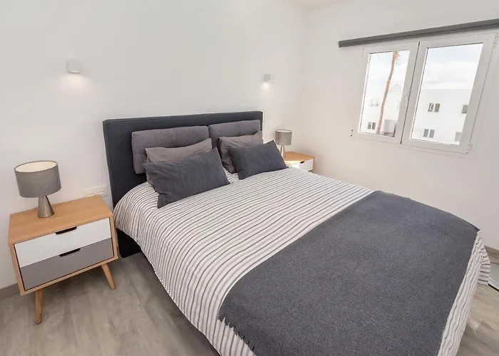 Conylanza Tabayba Blue 科斯塔特吉塞