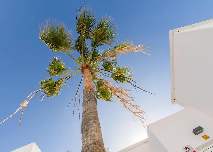 Appartement Conylanza Tabayba Blue