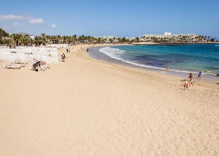 Conylanza Tabayba Blue *